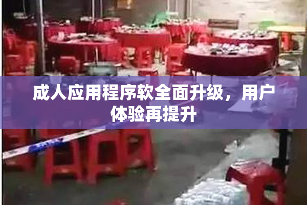 成人应用程序软全面升级，用户体验再提升