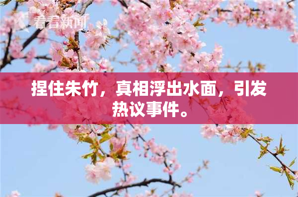 捏住朱竹，真相浮出水面，引发热议事件。