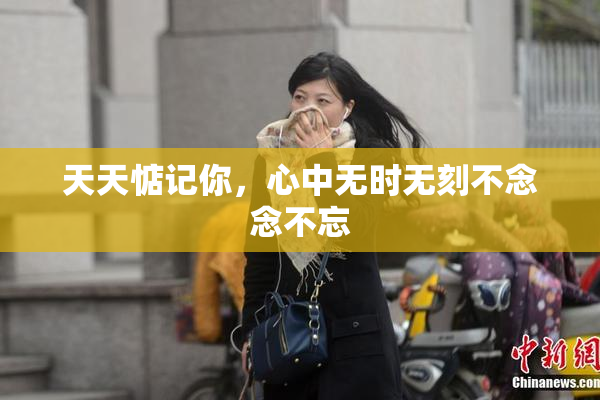 天天惦记你，心中无时无刻不念念不忘