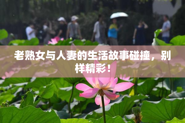 老熟女与人妻的生活故事碰撞，别样精彩！