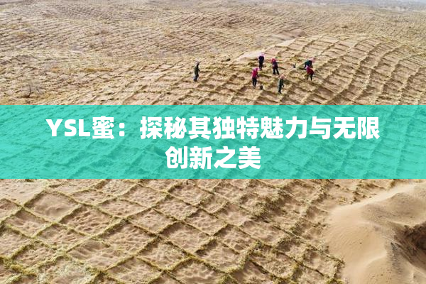 YSL蜜：探秘其独特魅力与无限创新之美