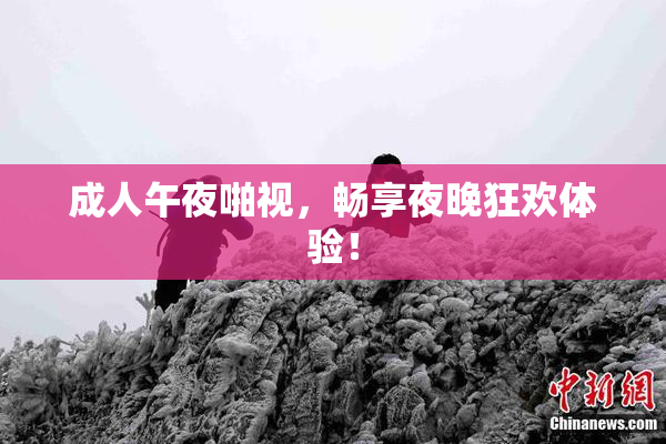 成人午夜啪视，畅享夜晚狂欢体验！