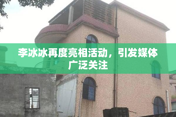李冰冰再度亮相活动，引发媒体广泛关注