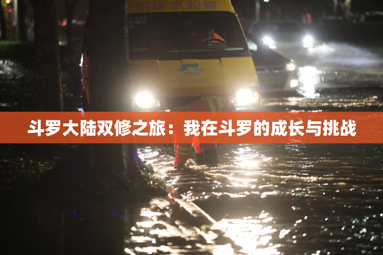 斗罗大陆双修之旅：我在斗罗的成长与挑战