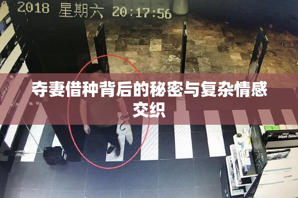 夺妻借种背后的秘密与复杂情感交织