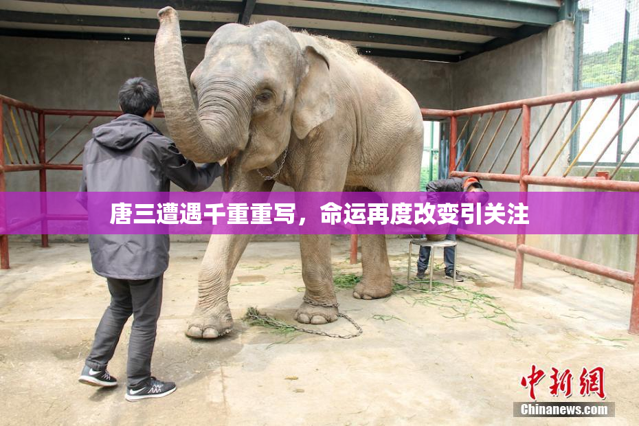 唐三遭遇千重重写，命运再度改变引关注