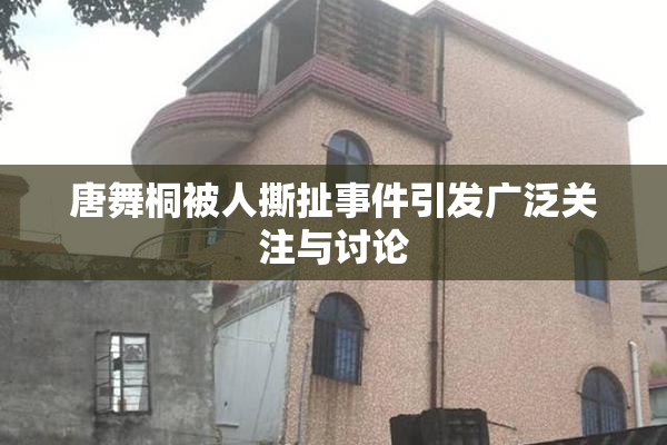 唐舞桐被人撕扯事件引发广泛关注与讨论