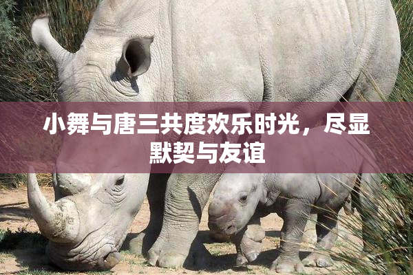 小舞与唐三共度欢乐时光，尽显默契与友谊