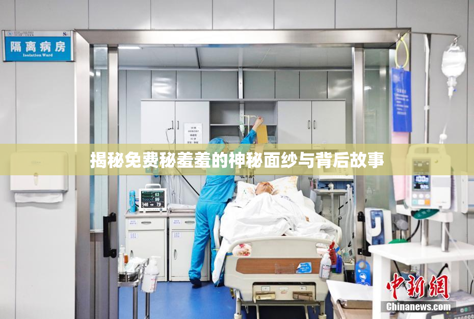 揭秘免费秘羞羞的神秘面纱与背后故事