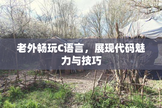 老外畅玩C语言，展现代码魅力与技巧