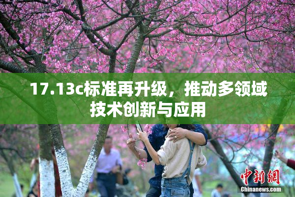 17.13c标准再升级，推动多领域技术创新与应用