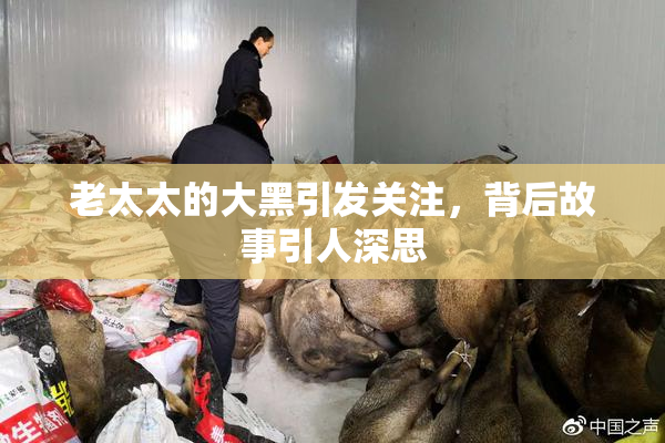 老太太的大黑引发关注，背后故事引人深思