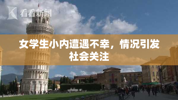 女学生小内遭遇不幸，情况引发社会关注