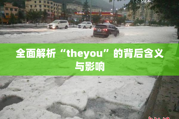 全面解析“theyou”的背后含义与影响