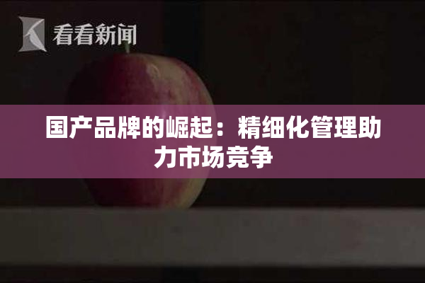 国产品牌的崛起：精细化管理助力市场竞争