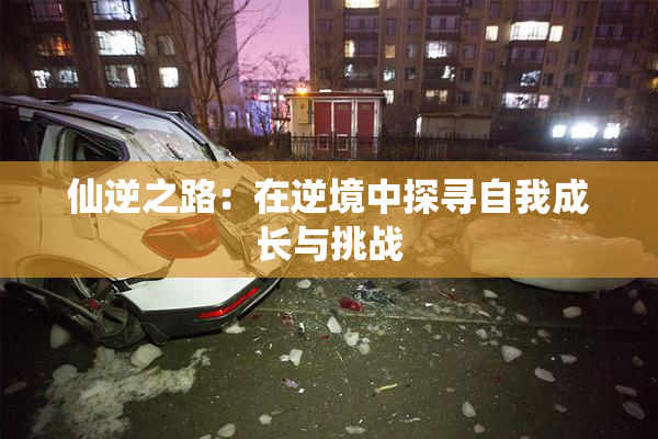 仙逆之路：在逆境中探寻自我成长与挑战