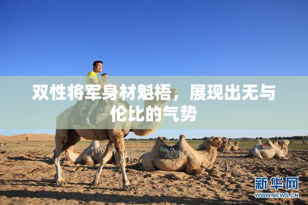 双性将军身材魁梧，展现出无与伦比的气势