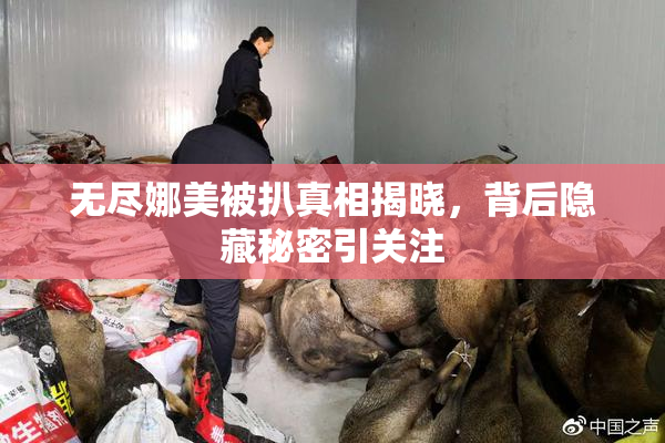 无尽娜美被扒真相揭晓，背后隐藏秘密引关注