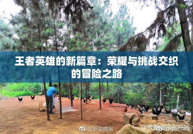王者英雄的新篇章：荣耀与挑战交织的冒险之路
