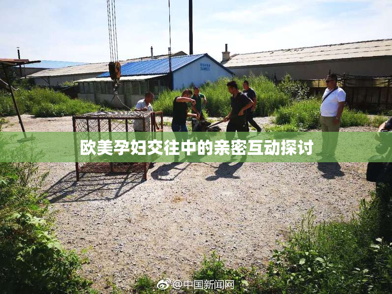 欧美孕妇交往中的亲密互动探讨