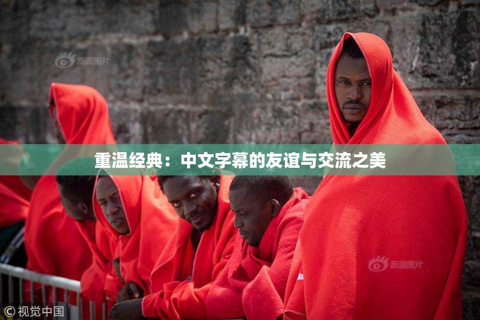 重温经典：中文字幕的友谊与交流之美