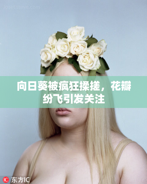 向日葵被疯狂揉搓，花瓣纷飞引发关注