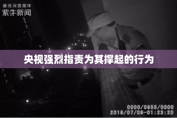 央视强烈指责为其撑起的行为