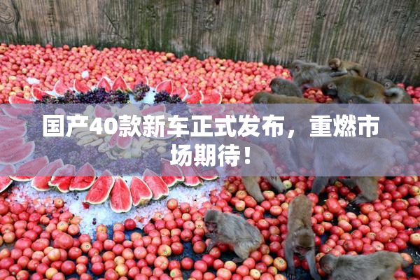国产40款新车正式发布，重燃市场期待！