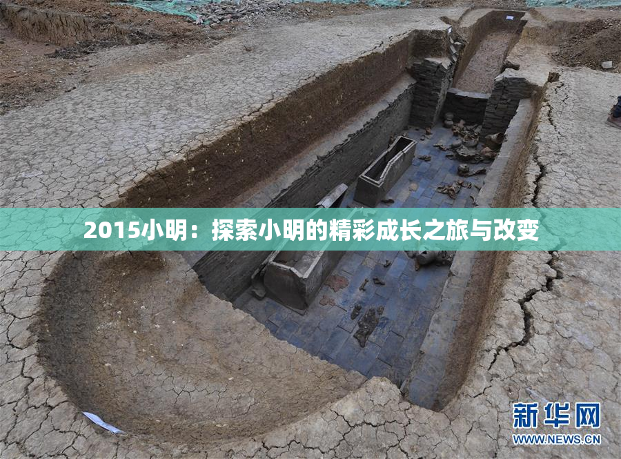 2015小明：探索小明的精彩成长之旅与改变