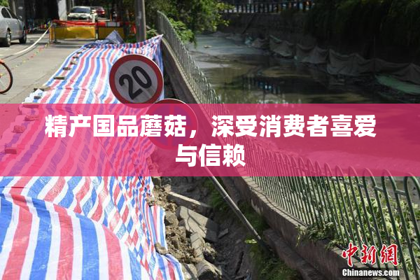 精产国品蘑菇，深受消费者喜爱与信赖