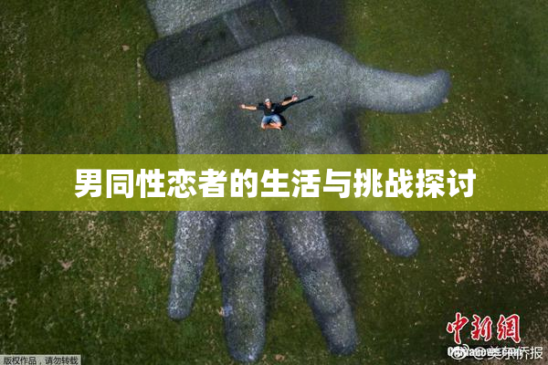 男同性恋者的生活与挑战探讨
