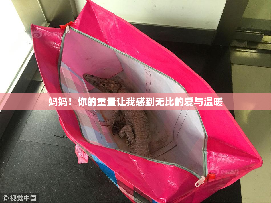 妈妈！你的重量让我感到无比的爱与温暖