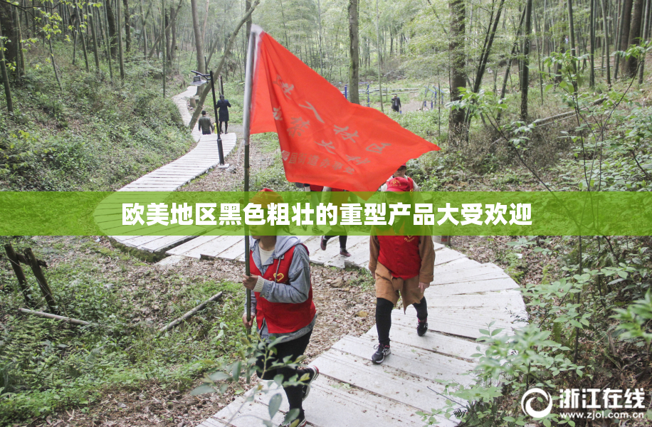 欧美地区黑色粗壮的重型产品大受欢迎