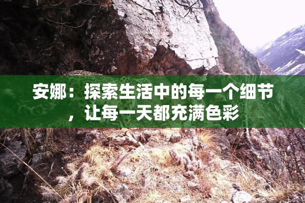 安娜：探索生活中的每一个细节，让每一天都充满色彩