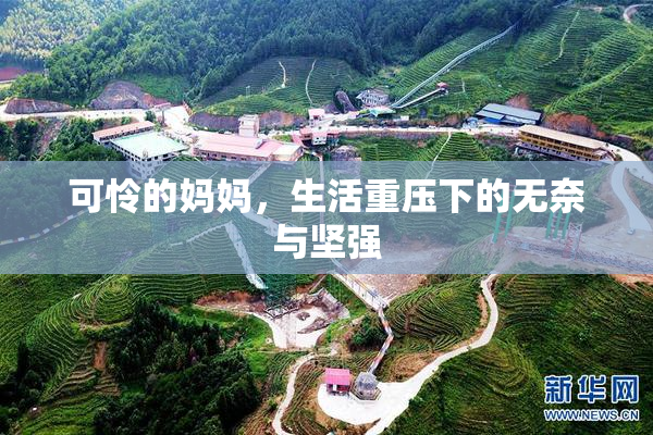 可怜的妈妈，生活重压下的无奈与坚强