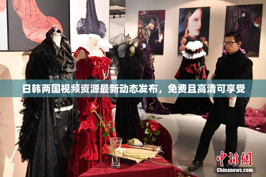 日韩两国视频资源最新动态发布，免费且高清可享受