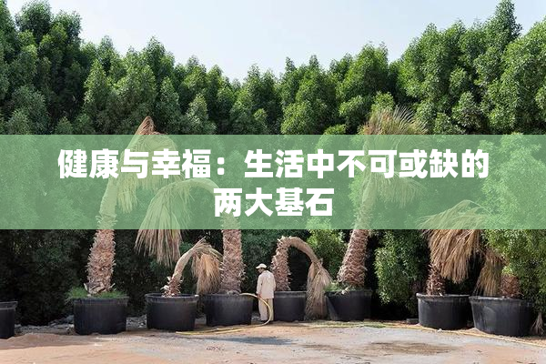 健康与幸福：生活中不可或缺的两大基石