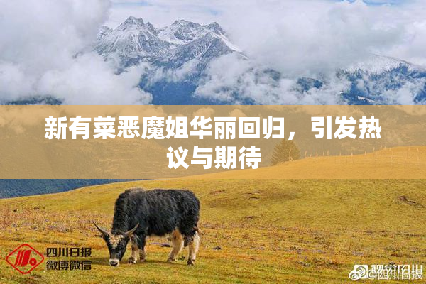 新有菜恶魔姐华丽回归，引发热议与期待