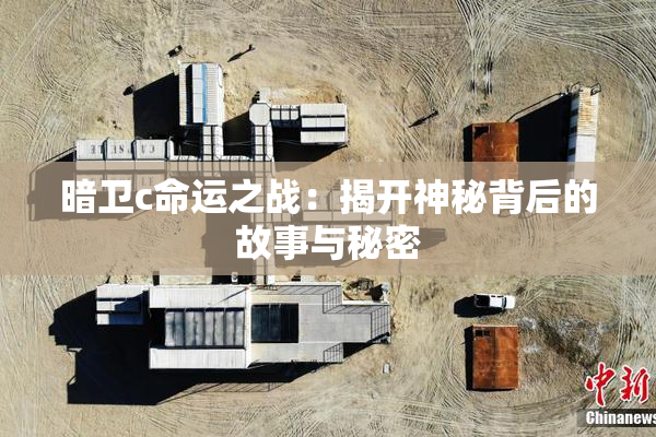 暗卫c命运之战：揭开神秘背后的故事与秘密