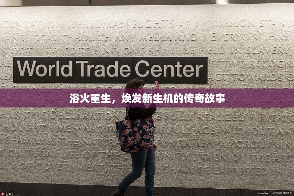 浴火重生，焕发新生机的传奇故事