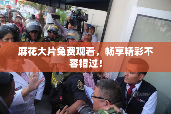 麻花大片免费观看，畅享精彩不容错过！