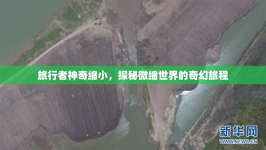 旅行者神奇缩小，探秘微缩世界的奇幻旅程