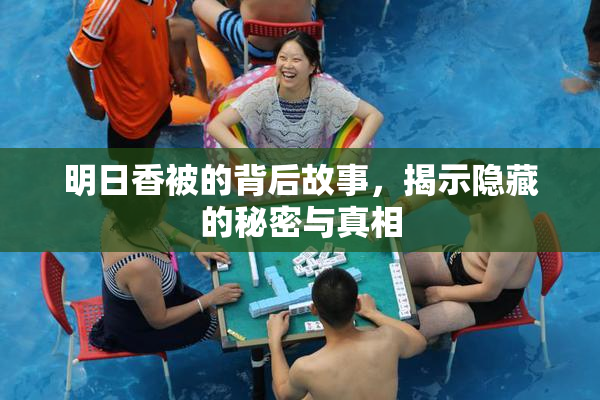 明日香被的背后故事，揭示隐藏的秘密与真相