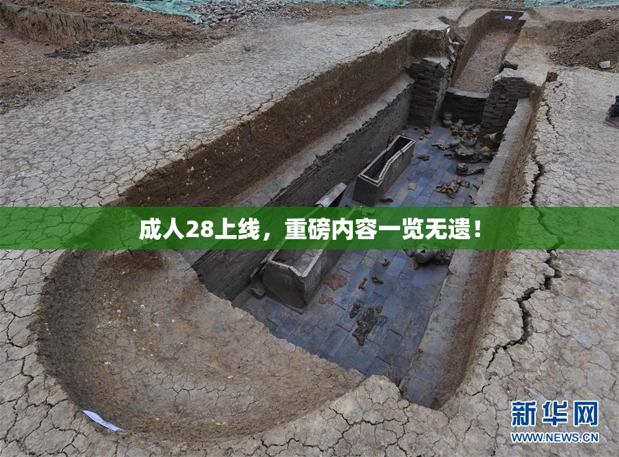 成人28上线，重磅内容一览无遗！