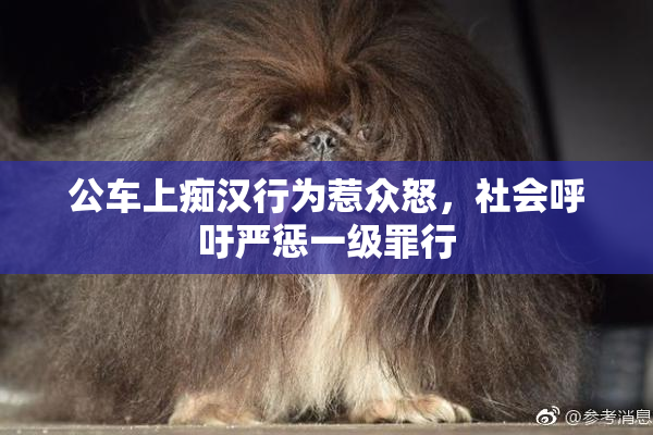 公车上痴汉行为惹众怒，社会呼吁严惩一级罪行