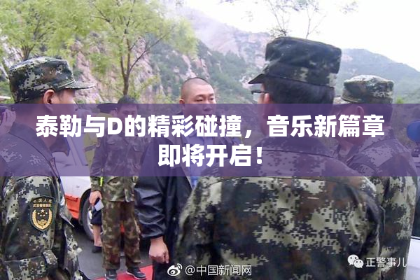 泰勒与D的精彩碰撞，音乐新篇章即将开启！