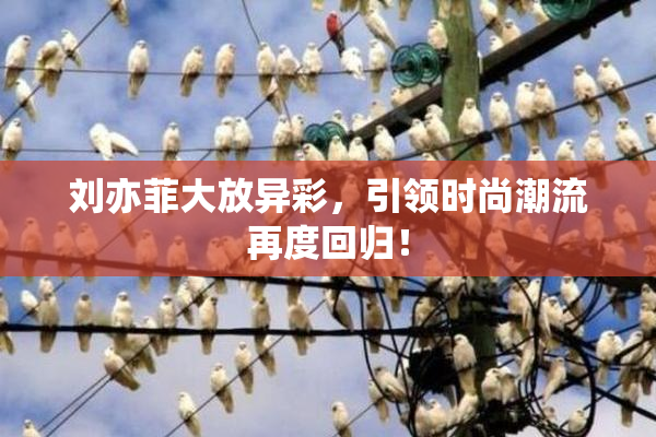 刘亦菲大放异彩，引领时尚潮流再度回归！
