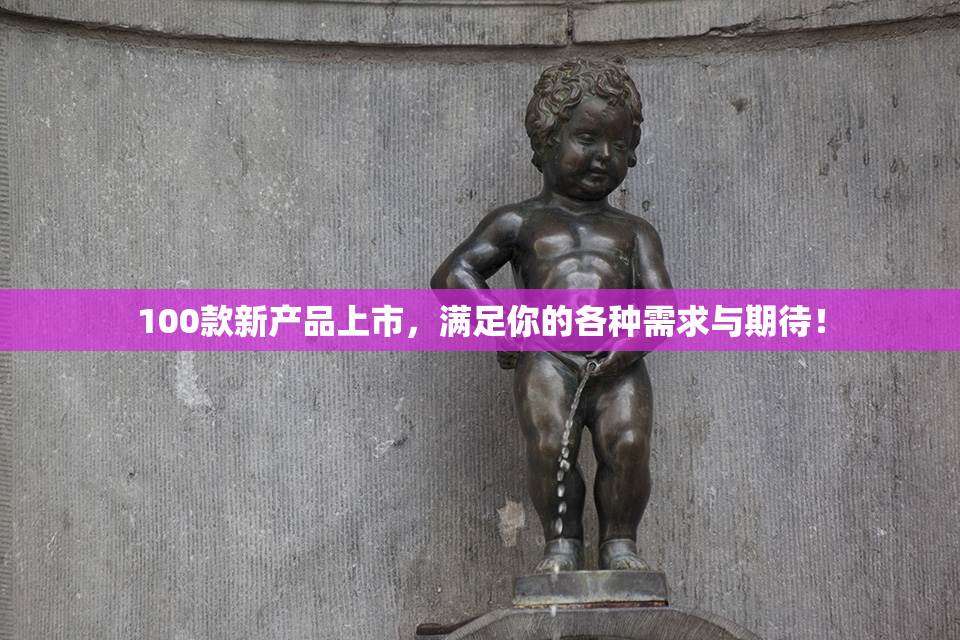 100款新产品上市，满足你的各种需求与期待！