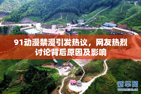 91动漫禁漫引发热议，网友热烈讨论背后原因及影响