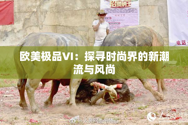 欧美极品VI：探寻时尚界的新潮流与风尚